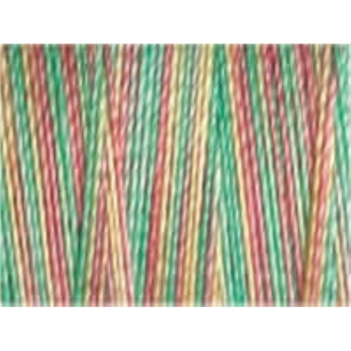 Fil Coton, quilting N°30 300m 4041 Fil Coton, quilting N°30 300m 4041